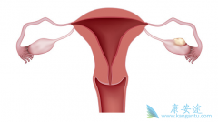 �ѳ���������ν����жϣ������ѳ�����������Щ��