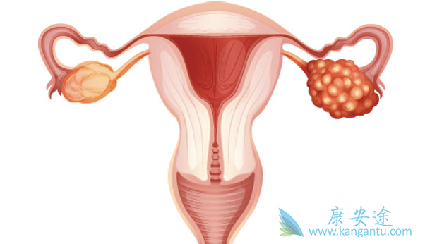 �ѳ�������