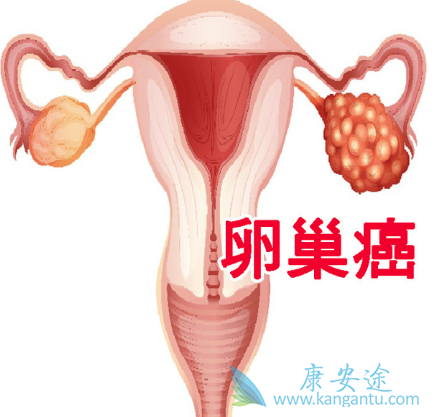 �ѳ�������