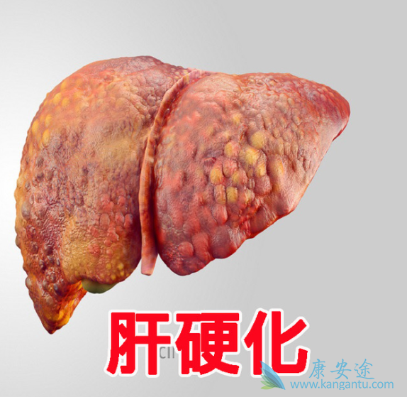 ��Ӳ������