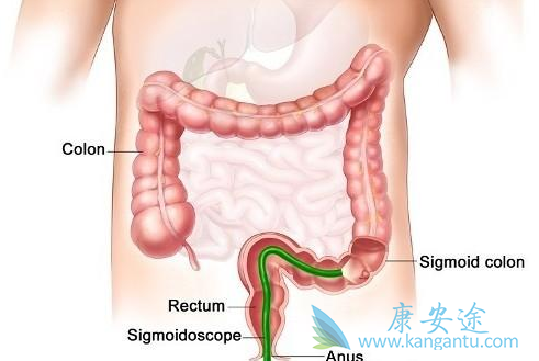 ��������ҩ��