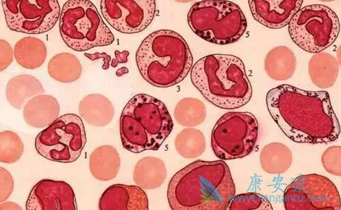 ��Ѫ��������