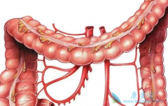 �᳦��ϸ��ת�ƺ�֢���˳�ʲô�ã�