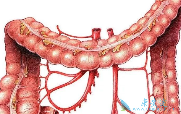 ��ϸ��ת��