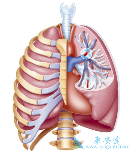 �ζ�����ѹ֢״