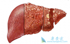 �ɱ��ν�չ�����ĸΰ����κ���