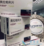 PARP���Ƽ���ǰ���ٰ������е���������Щ��