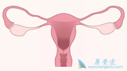 �����۰�