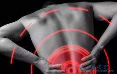 ������ֲ����谩/�������ܻ��ã�