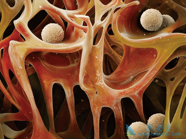 ���������κ���