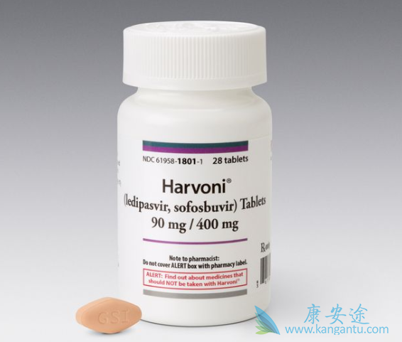 ���͸�������ҩ��