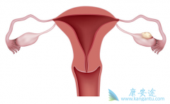 �������������ѳ�������ҩ������ͬ������Ҳ������ͬ