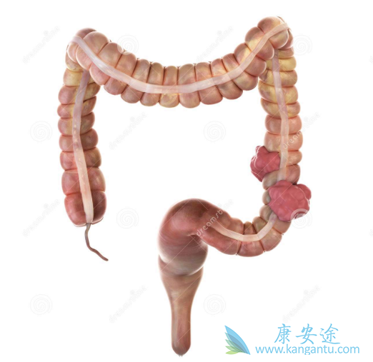 �᳦������