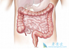 �����Ľ᳦����֢״����Щ��