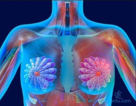 ���ٰ�����