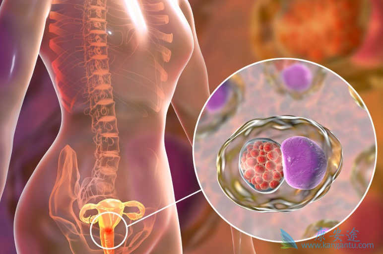 �����۰�