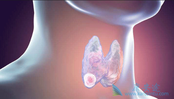 ��״������֢״