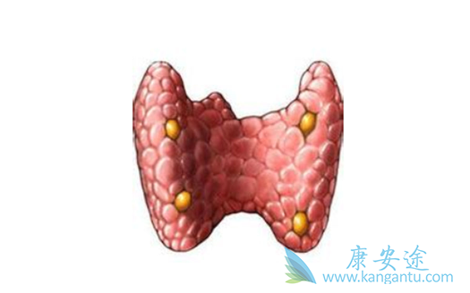 ��״������