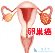 �ѳ������ƺ���˵�ͷ�����ܳ�������