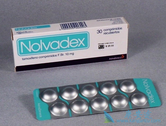 ��Ī����