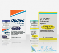 ��֢�����Ʒ�PD-1��PD-L1����α����ֵģ�