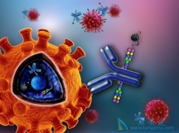 ����֯����