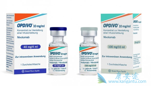 ��ϸ��������