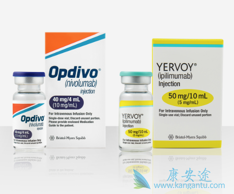 CTLA-4���Ƽ�