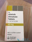 �����ΰ�����ҩ�ﰢ������(Afatinib)������Щ����֮����