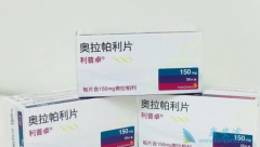 ���������������ǰ���ٰ���Ǳ�ڱ�־����ʲô��