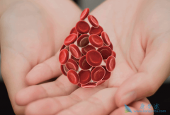 ��Ѫ������֢״����Щ�����������������ڰ�Ѫ����