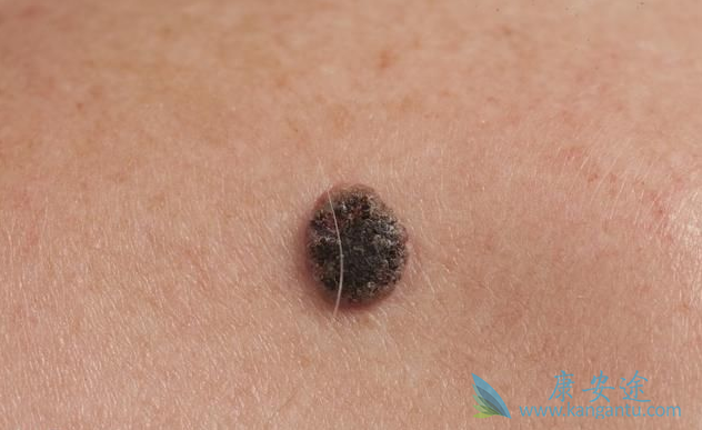 ��ɫ����