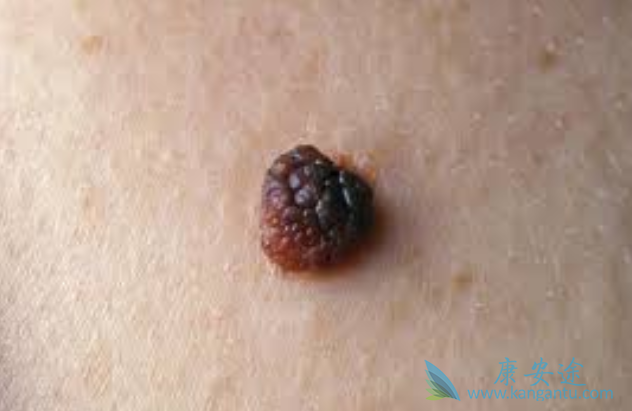 ��ɫ����