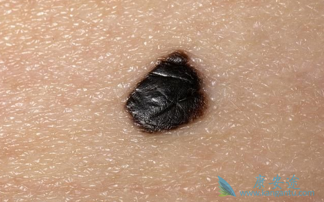 ��ɫ����