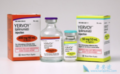 ��ƥ����(Yervoy)�����Ʒ����ƽ�ֱ�������ߵ���Ч��ô����