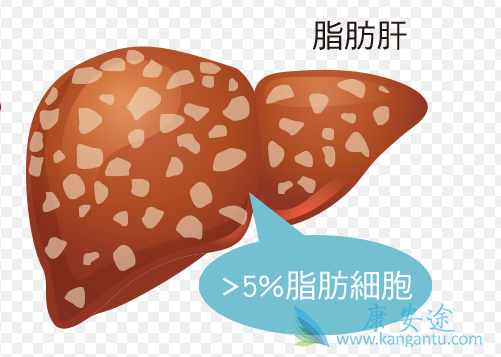 �Ǿƾ���֬���β�