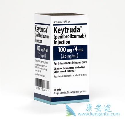 �������鵥��