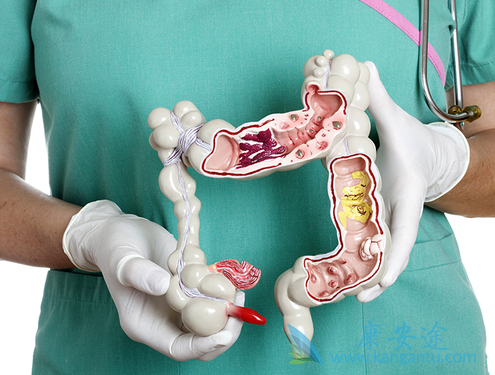 ��ֱ����