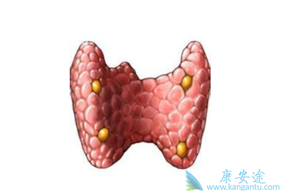 ��״������