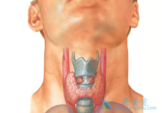 ��״�ٰ�������֢״