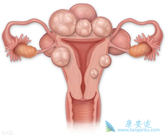 ������֢״