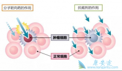 �������ڷ�Сϸ���ΰ��ķ��Ӱ�������ҩ������Щ��