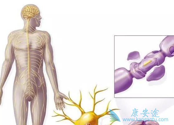 ������ά��