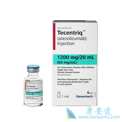 �������鵥��