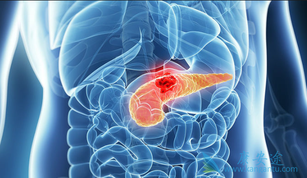 ���ٰ��ܻ���