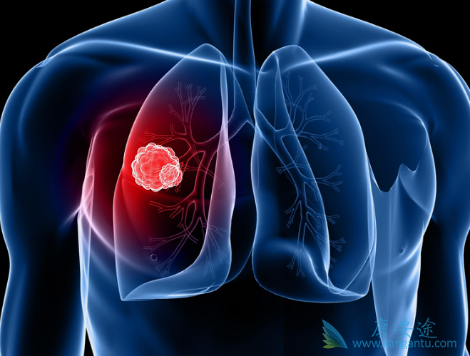 Сϸ���ΰ�������