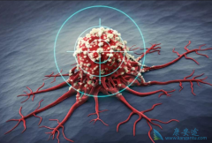 ʲô�Ƿΰ��۰����������ķΰ������к�����