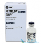 Keytruda��Ϊ�׸����й����������Ӧ֢��PD-1ҩ��