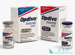 �����Ʒ�Opdivo�������ƿ����������ٰ��Ȱ�֢��