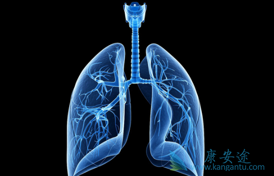 ����ά���ܻ���